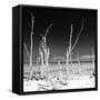 Cuba Fuerte Collection SQ BW - Ocean Wild Nature-Philippe Hugonnard-Framed Stretched Canvas