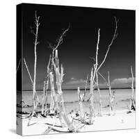 Cuba Fuerte Collection SQ BW - Ocean Wild Nature-Philippe Hugonnard-Stretched Canvas