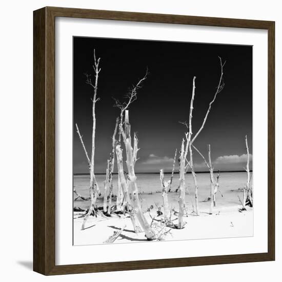 Cuba Fuerte Collection SQ BW - Ocean Wild Nature-Philippe Hugonnard-Framed Photographic Print