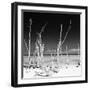 Cuba Fuerte Collection SQ BW - Ocean Wild Nature-Philippe Hugonnard-Framed Photographic Print