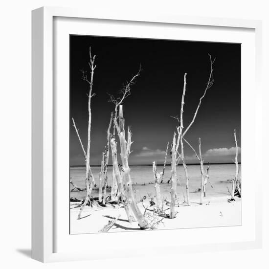 Cuba Fuerte Collection SQ BW - Ocean Wild Nature-Philippe Hugonnard-Framed Photographic Print