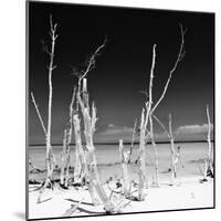 Cuba Fuerte Collection SQ BW - Ocean Wild Nature-Philippe Hugonnard-Mounted Photographic Print