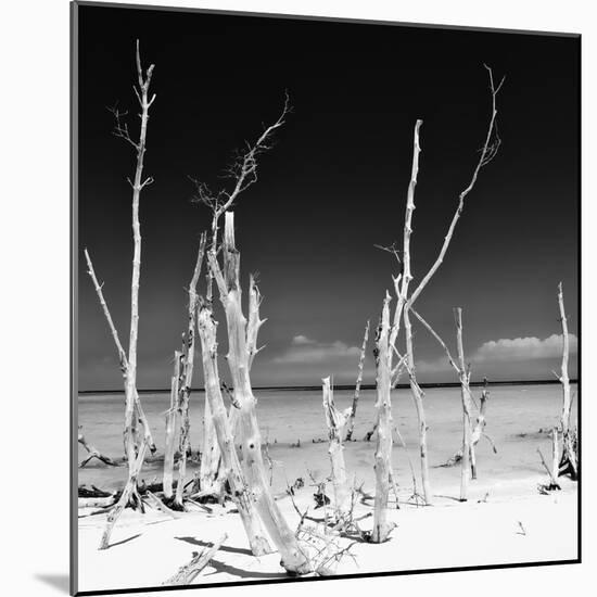 Cuba Fuerte Collection SQ BW - Ocean Wild Nature-Philippe Hugonnard-Mounted Photographic Print