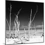 Cuba Fuerte Collection SQ BW - Ocean Wild Nature-Philippe Hugonnard-Mounted Photographic Print