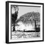 Cuba Fuerte Collection SQ BW - Paradise Beach Hut-Philippe Hugonnard-Framed Photographic Print