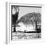 Cuba Fuerte Collection SQ BW - Paradise Beach Hut-Philippe Hugonnard-Framed Photographic Print