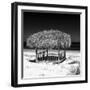 Cuba Fuerte Collection SQ BW - Paradise Beach-Philippe Hugonnard-Framed Photographic Print