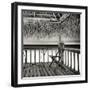 Cuba Fuerte Collection SQ BW - Serenity II-Philippe Hugonnard-Framed Photographic Print