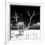 Cuba Fuerte Collection SQ BW - Serenity II-Philippe Hugonnard-Framed Photographic Print