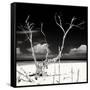 Cuba Fuerte Collection SQ BW - Serenity II-Philippe Hugonnard-Framed Stretched Canvas