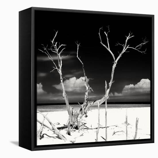 Cuba Fuerte Collection SQ BW - Serenity II-Philippe Hugonnard-Framed Stretched Canvas