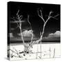 Cuba Fuerte Collection SQ BW - Serenity II-Philippe Hugonnard-Stretched Canvas
