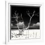 Cuba Fuerte Collection SQ BW - Serenity II-Philippe Hugonnard-Framed Photographic Print