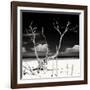 Cuba Fuerte Collection SQ BW - Serenity II-Philippe Hugonnard-Framed Photographic Print