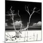 Cuba Fuerte Collection SQ BW - Serenity II-Philippe Hugonnard-Mounted Photographic Print