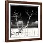 Cuba Fuerte Collection SQ BW - Serenity II-Philippe Hugonnard-Framed Photographic Print