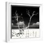 Cuba Fuerte Collection SQ BW - Serenity II-Philippe Hugonnard-Framed Photographic Print