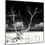 Cuba Fuerte Collection SQ BW - Serenity II-Philippe Hugonnard-Mounted Photographic Print