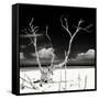 Cuba Fuerte Collection SQ BW - Serenity II-Philippe Hugonnard-Framed Stretched Canvas