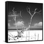 Cuba Fuerte Collection SQ BW - Serenity-Philippe Hugonnard-Framed Stretched Canvas