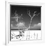 Cuba Fuerte Collection SQ BW - Serenity-Philippe Hugonnard-Framed Photographic Print