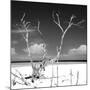 Cuba Fuerte Collection SQ BW - Serenity-Philippe Hugonnard-Mounted Photographic Print
