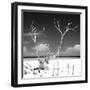 Cuba Fuerte Collection SQ BW - Serenity-Philippe Hugonnard-Framed Photographic Print