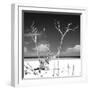 Cuba Fuerte Collection SQ BW - Serenity-Philippe Hugonnard-Framed Photographic Print