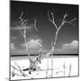 Cuba Fuerte Collection SQ BW - Serenity-Philippe Hugonnard-Mounted Photographic Print