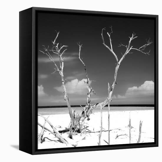 Cuba Fuerte Collection SQ BW - Serenity-Philippe Hugonnard-Framed Stretched Canvas