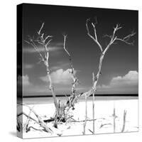 Cuba Fuerte Collection SQ BW - Serenity-Philippe Hugonnard-Stretched Canvas
