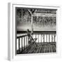 Cuba Fuerte Collection SQ BW - Serenity-Philippe Hugonnard-Framed Photographic Print