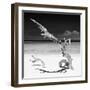 Cuba Fuerte Collection SQ BW - Solitary Tree-Philippe Hugonnard-Framed Photographic Print