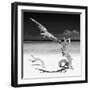 Cuba Fuerte Collection SQ BW - Solitary Tree-Philippe Hugonnard-Framed Photographic Print