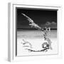 Cuba Fuerte Collection SQ BW - Solitary Tree-Philippe Hugonnard-Framed Photographic Print