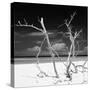 Cuba Fuerte Collection SQ BW - Stillness-Philippe Hugonnard-Stretched Canvas