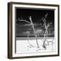 Cuba Fuerte Collection SQ BW - Stillness-Philippe Hugonnard-Framed Photographic Print