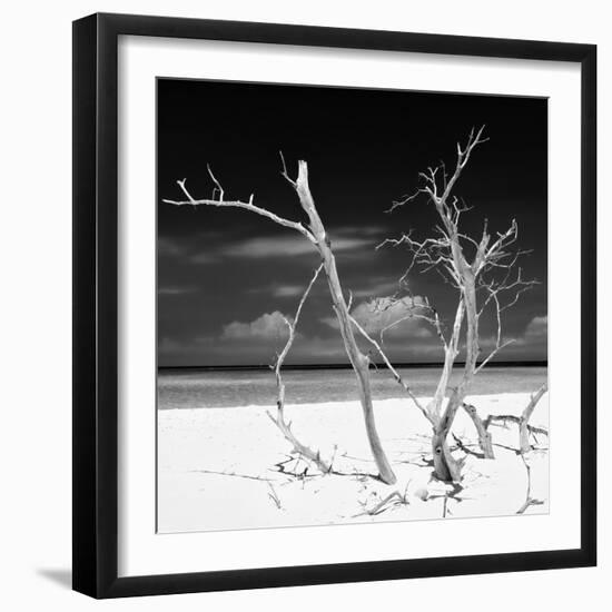 Cuba Fuerte Collection SQ BW - Stillness-Philippe Hugonnard-Framed Photographic Print