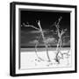 Cuba Fuerte Collection SQ BW - Stillness-Philippe Hugonnard-Framed Photographic Print