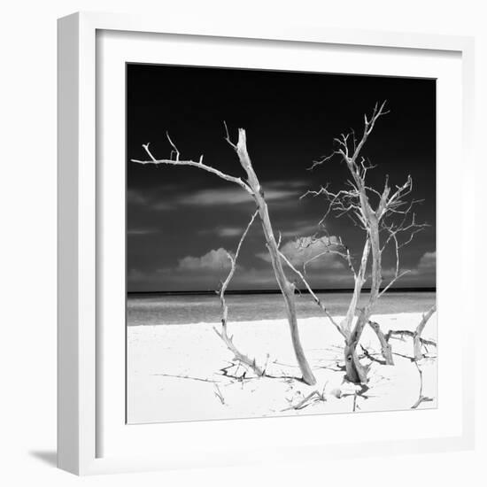 Cuba Fuerte Collection SQ BW - Stillness-Philippe Hugonnard-Framed Photographic Print