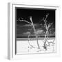 Cuba Fuerte Collection SQ BW - Stillness-Philippe Hugonnard-Framed Photographic Print