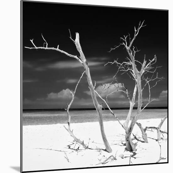 Cuba Fuerte Collection SQ BW - Stillness-Philippe Hugonnard-Mounted Photographic Print