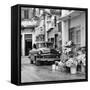 Cuba Fuerte Collection SQ BW - Sunflowers-Philippe Hugonnard-Framed Stretched Canvas