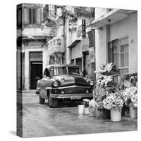 Cuba Fuerte Collection SQ BW - Sunflowers-Philippe Hugonnard-Stretched Canvas