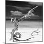 Cuba Fuerte Collection SQ BW - Trees Movement II-Philippe Hugonnard-Mounted Photographic Print