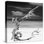 Cuba Fuerte Collection SQ BW - Trees Movement II-Philippe Hugonnard-Stretched Canvas