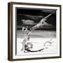 Cuba Fuerte Collection SQ BW - Trees Movement-Philippe Hugonnard-Framed Photographic Print