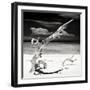 Cuba Fuerte Collection SQ BW - Trees Movement-Philippe Hugonnard-Framed Photographic Print