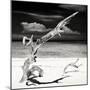 Cuba Fuerte Collection SQ BW - Trees Movement-Philippe Hugonnard-Mounted Photographic Print