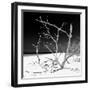 Cuba Fuerte Collection SQ BW - Tropical Beach Nature-Philippe Hugonnard-Framed Photographic Print